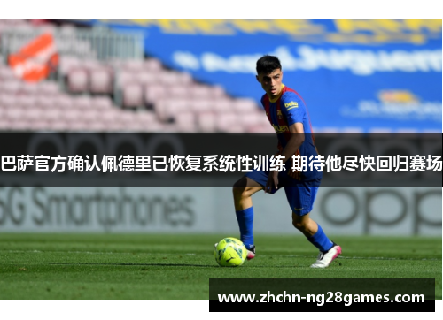巴萨官方确认佩德里已恢复系统性训练 期待他尽快回归赛场 巴萨官方确认佩德里已恢复系统性训练 期待他尽快回归赛场