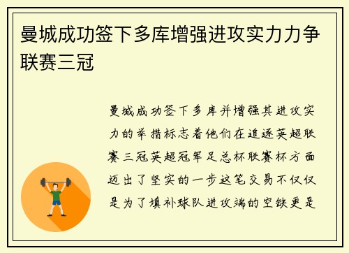 曼城成功签下多库增强进攻实力力争联赛三冠 曼城成功签下多库增强进攻实力力争联赛三冠