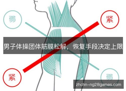 男子体操团体筋膜松解，恢复手段决定上限